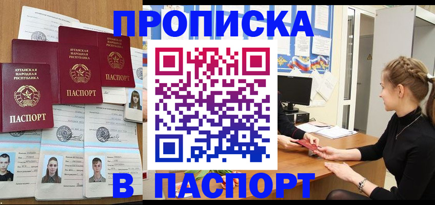 прописка поиск в Дальнегорске